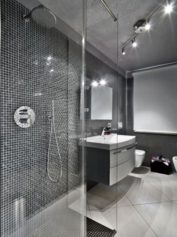 Modern Shower Area